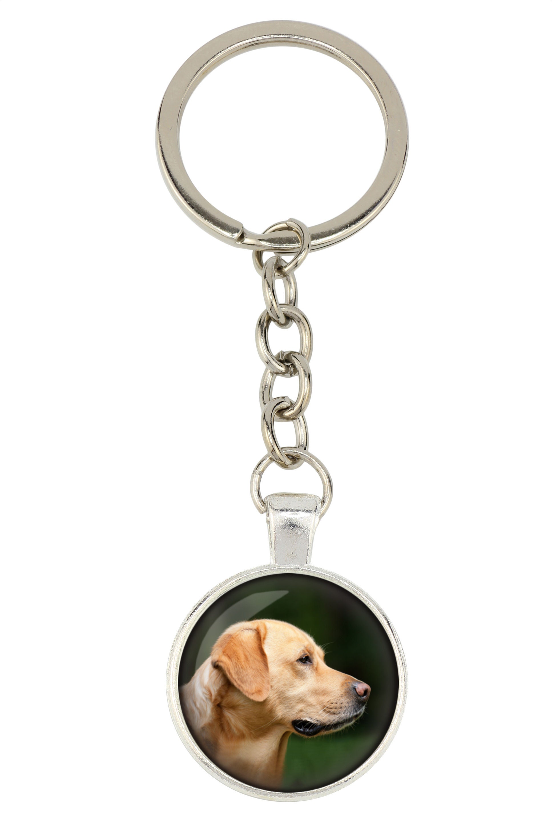 Labrador Retriever. Keyring Keychain for Dog Lovers. Photo Etsy UK