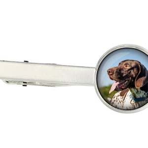 May include: A silver tie clip with a round, clear glass insert featuring a brown and white German Shorthaired Pointer dog with its tongue sticking out.