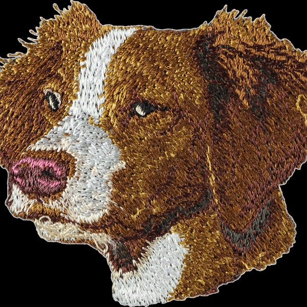 Épagneul breton - Broderie, plaque avec l'image d'un chien de race.