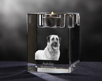 Anatolian Shepherd - crystal candlestick with dog, souvenir, decoration, limited edition, Collection