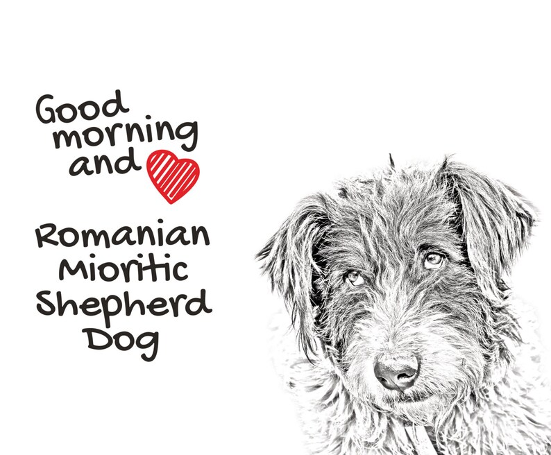 Romanian Mioritic Shepherd Dog , A mouse pad with the image of a dog. Collection image 2