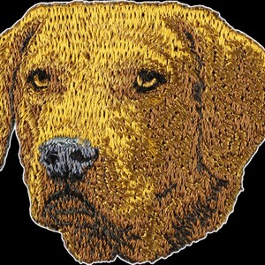 Retriever de Chesapeake - Bordado con una imagen de un perro de raza.