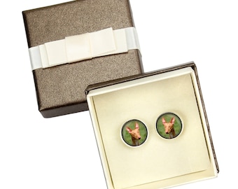 Pharaoh Hound. Cufflinks with box for dog lovers. Photo jewellery. Men's jewellery. Handmade