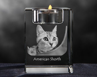 American shorthair, crystal candlestick with cat, souvenir, decoration, limited edition, Collection