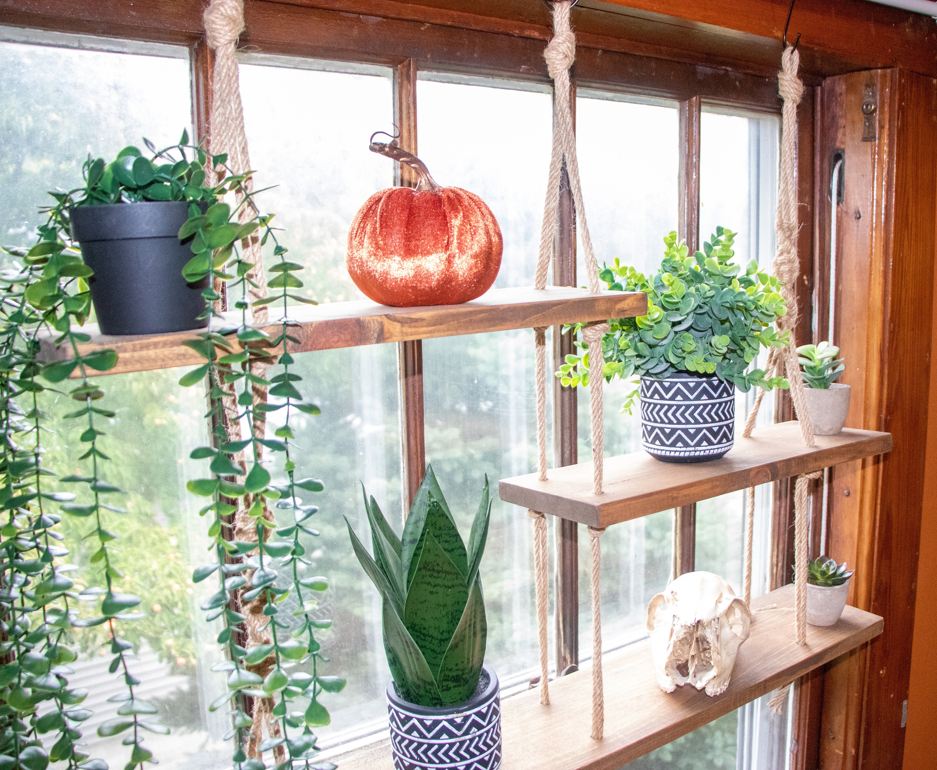 3 Tier Hanging Shelf. Window or Wall Shelf. Asymmetrical Etsy