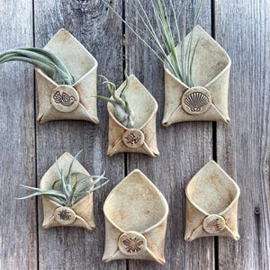 Puede incluir: Seis macetas de cerámica beige con forma de sobre, cada una con un diseño en relieve único y llenas de plantas aéreas. Las macetas están montadas sobre una superficie de madera envejecida, mostrando una estética rústica. Los diseños en relieve incluyen una concha, una mariposa y otros motivos inspirados en la naturaleza.