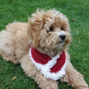 PDF Crochet PATTERN - Santa Cowl/ Dog Cat Neckwarmer/Snood/Christmas Pet Accessories/ Chunky Cowl/Stocking Stuffers