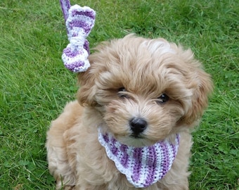 PDF Crochet PATTERN - Dog Bandana and Bow Leash Set /Crochet Laced Striped Bandana/Pet Bib Clothing/Canine Diy Accessories