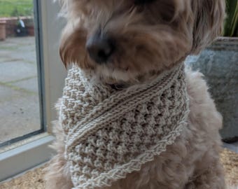 Bobble Dog Cowl Knitting Pattern: Chunky Buttoned Pet Scarf (PDF Pattern)