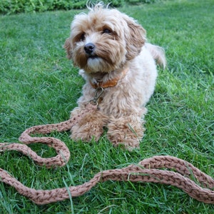 PDF Crochet PATTERN Super Chunky Dog Leash /Crochet Pet Diy Accessories image 3