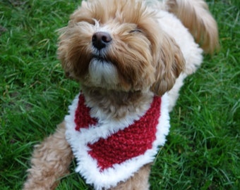 May include: A small, light brown dog with its eyes closed, wearing a red and white knitted scarf, is lying on green grass.