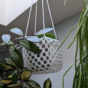 May include: White crocheted hanging planter with a green plant inside. The planter is hanging from a white cord.