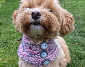 PDF Knitting PATTERN - Hydrangea Dog Snood/ Pet Neckwarmer/Dog Fashion Cowl/Chunky Bandana/Cat Pet Bib Clothing/Canine Diy Accessories