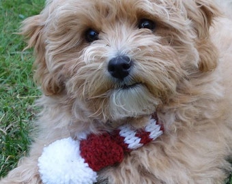 PDF Knitting PATTERN - Christmas Candy Cane Dog Scarf/PomPom Neckwarmer/Snood/Santa Claus Pet Accessories/Chunky Cowl/Elf Cat Clothing