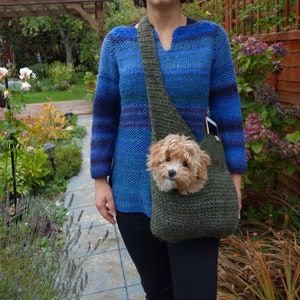 May include: A woman wearing a blue and purple striped sweater carries a small dog in a green knitted sling bag.