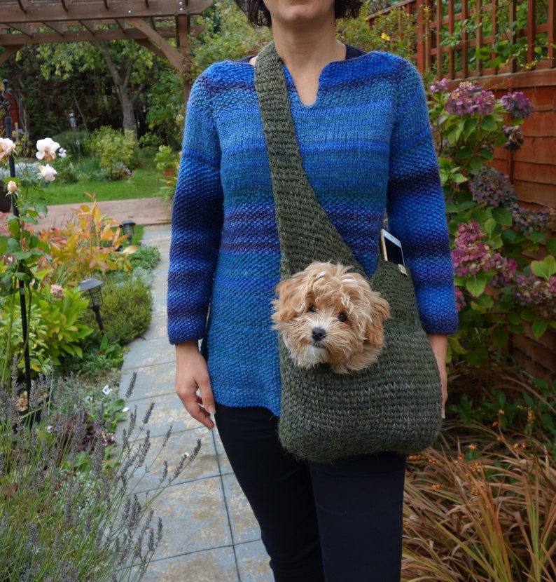 May include: A woman wearing a blue and purple striped sweater carries a small dog in a green knitted sling bag.