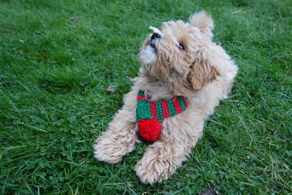 PDF Crochet PATTERN Elf Dog Scarf /pompom | Etsy