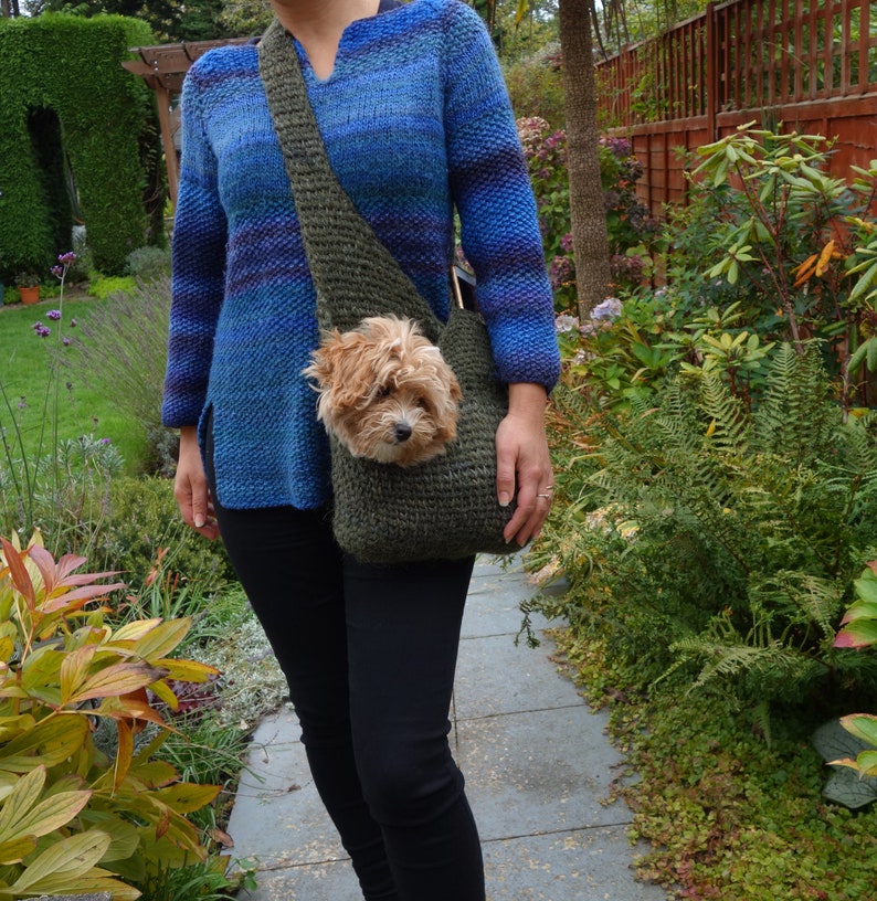May include: A woman wearing a blue and purple striped sweater carries a green knitted pet carrier with a small brown dog inside.
