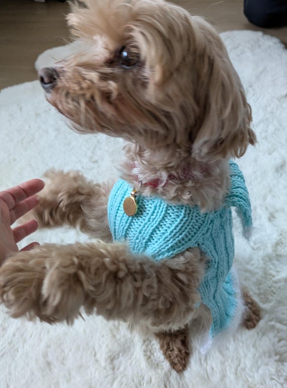 Petitebella Hundekleid Mit Weihnachtsbaum & Strasssteinen – Rot/Blaugrün | Für Kleine Hunde Von 0,5 Bis 18,1 Kg