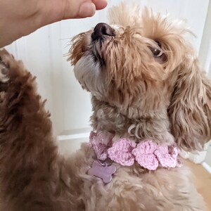 Crochet Hearts Collar PATTERN: DIY Pet Necklace/Dog Name Tag Holder (PDF Download) image 2