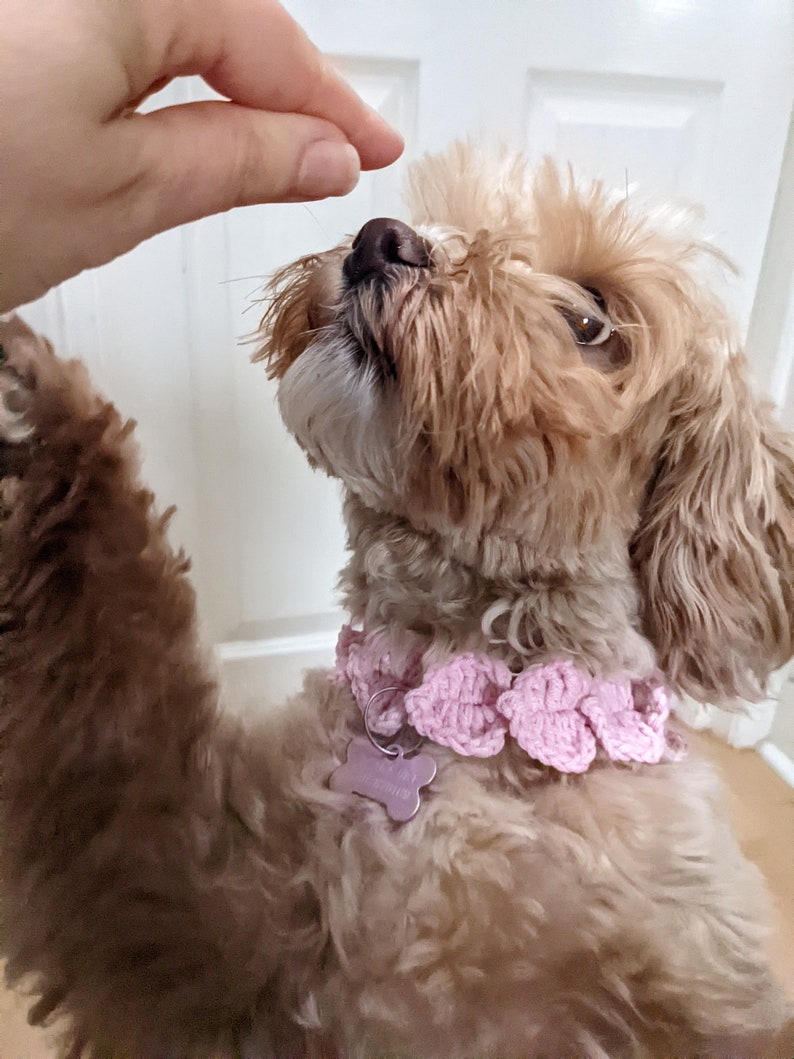 Crochet Hearts Collar PATTERN: DIY Pet Necklace/Dog Name Tag Holder (PDF Download) image 2