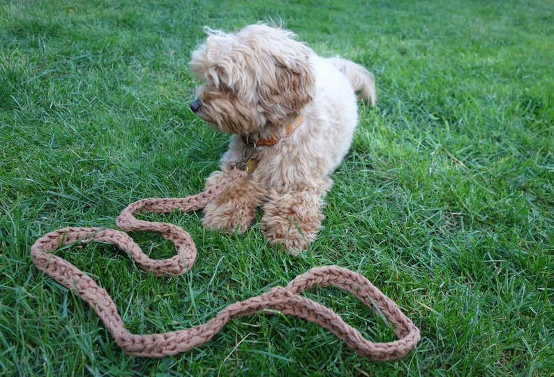 PDF Crochet PATTERN Super Chunky Dog Leash /Crochet Pet Diy Accessories image 1