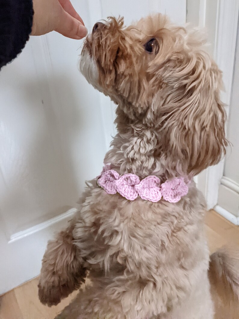 Crochet Hearts Collar PATTERN: DIY Pet Necklace/Dog Name Tag Holder (PDF Download) image 3