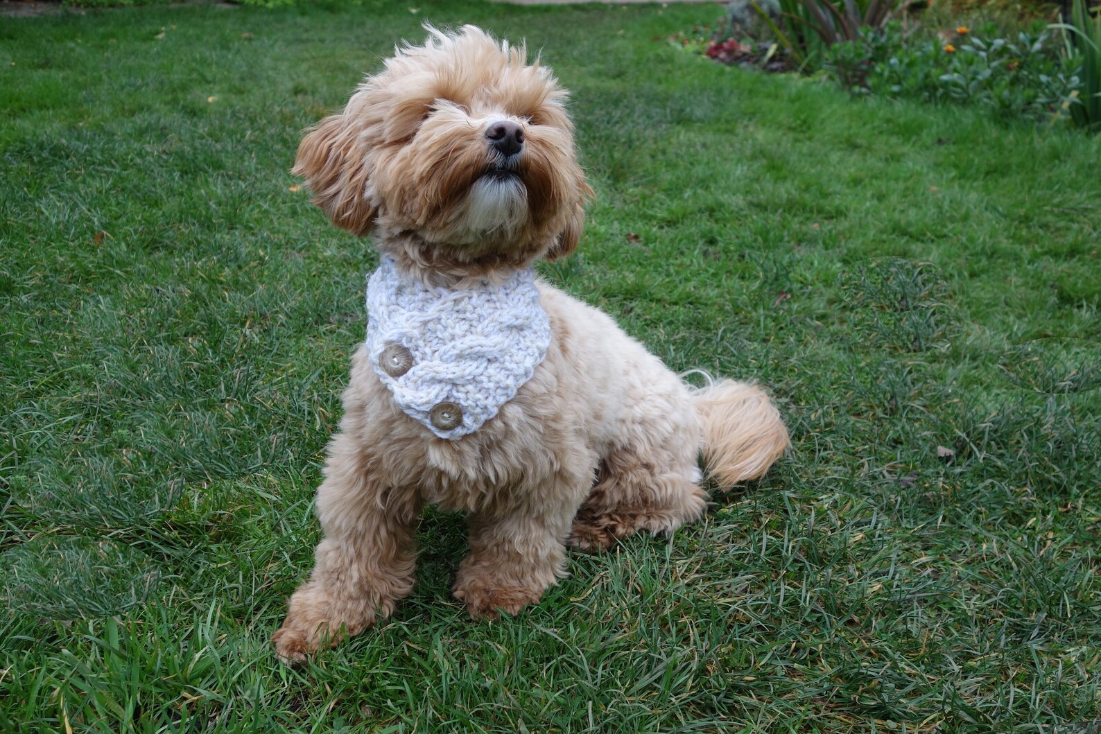 PDF Knitting PATTERN Cable Dog Cowl /snood/neckwarmer/chunky Etsy