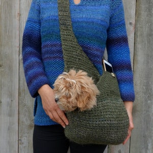 May include: A person wearing a blue and purple striped sweater carries a green crocheted pet carrier with a small dog inside.