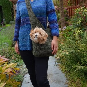 May include: A woman wearing a blue and green striped sweater carries a small dog in a green knitted sling bag.