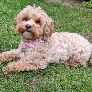 Crochet Hearts Collar PATTERN: DIY Pet Necklace/Dog Name Tag Holder (PDF Download) image 8