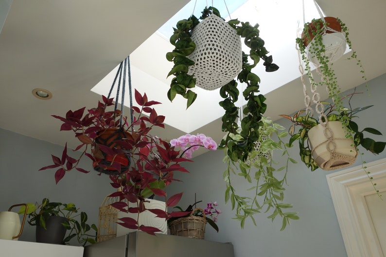 PDF Crochet PATTERN Rings Plant Hanger/ Macrame Boho Plants Decor/Indoor Outdoor Trailing Plants Holder/ PDF Digital File image 9