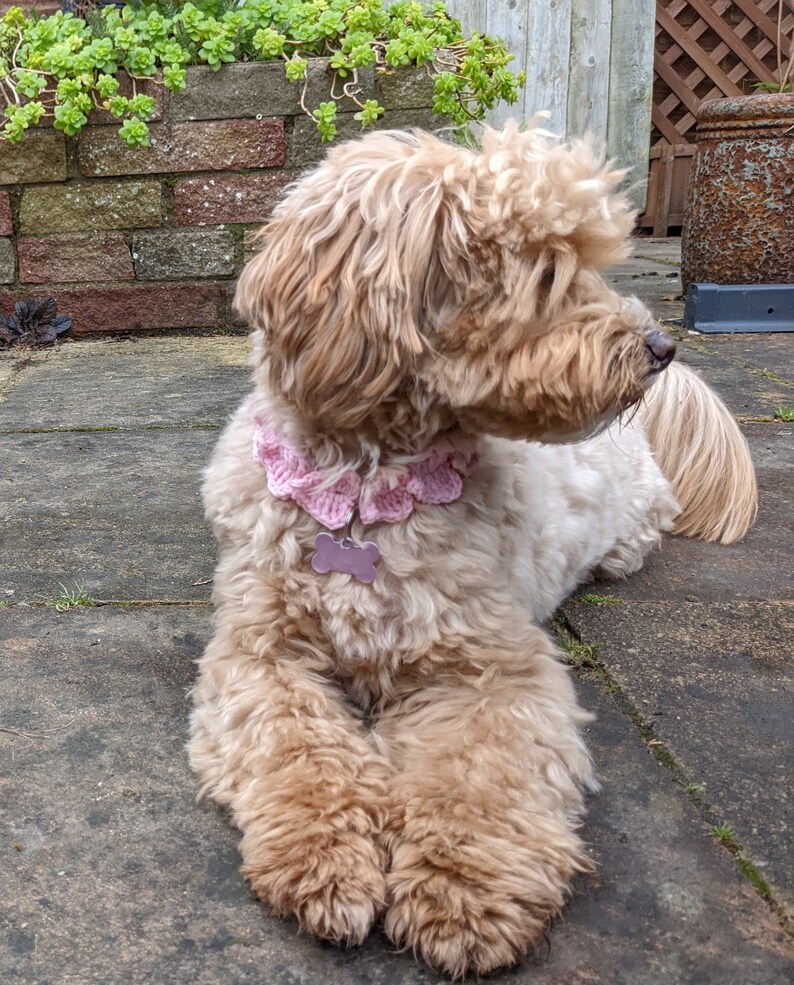 Crochet Hearts Collar PATTERN: DIY Pet Necklace/Dog Name Tag Holder (PDF Download) image 4