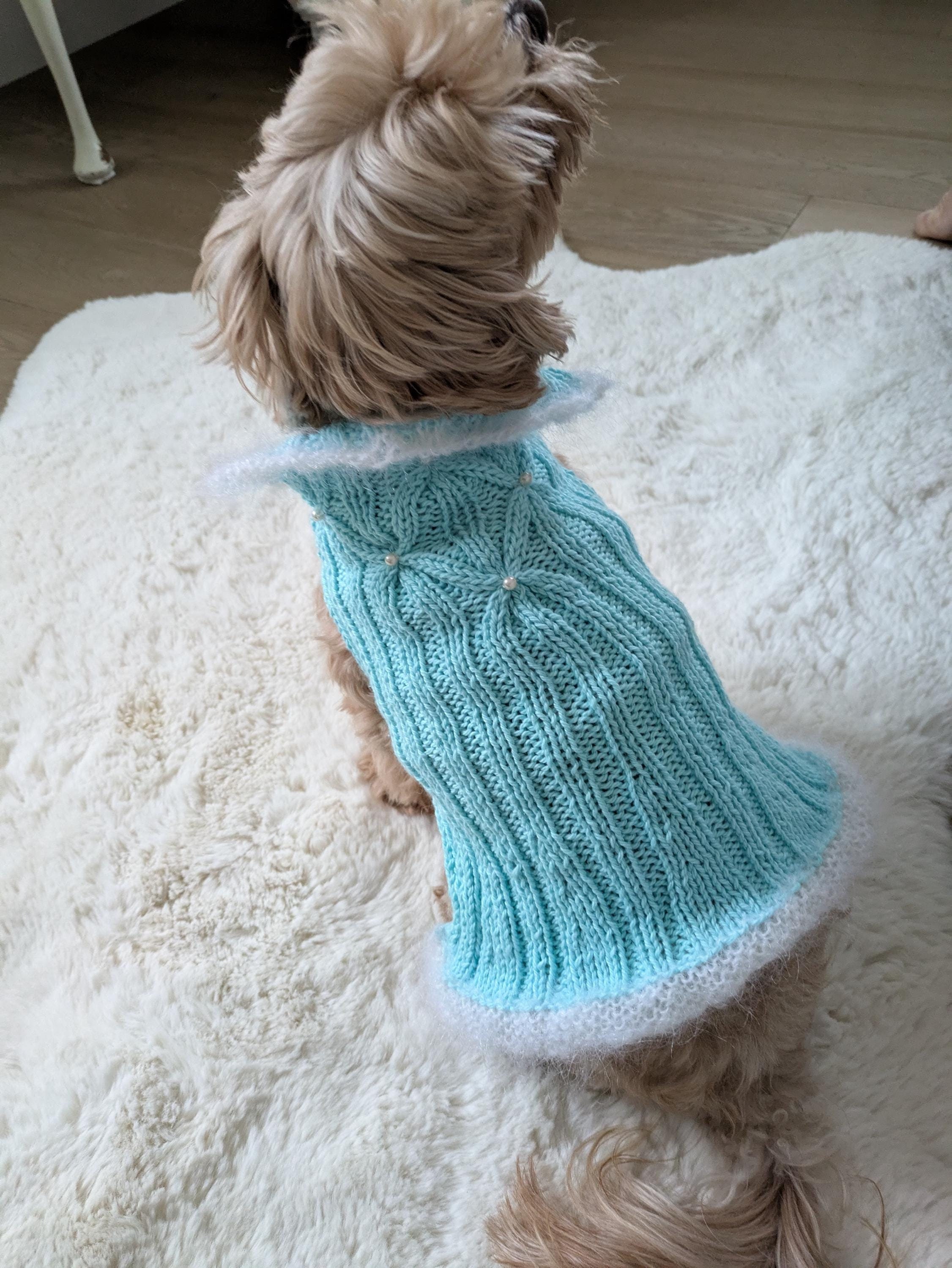 sachin and babi light blue dress Christmas Dog Dress