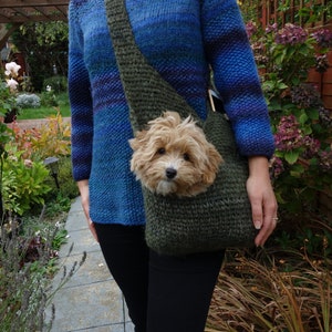 May include: A person wearing a blue and purple striped sweater with a green knitted dog carrier. A small, light brown dog is peeking out of the carrier.