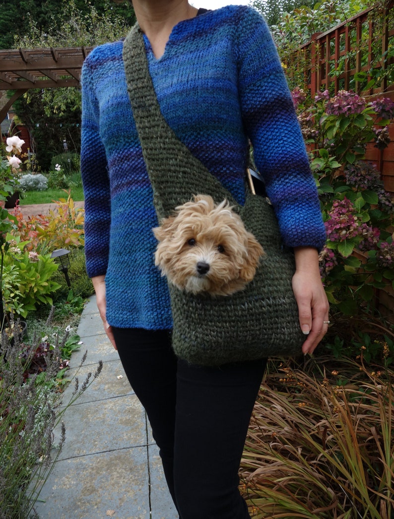 May include: A person wearing a blue and purple striped sweater with a green knitted dog carrier. A small, light brown dog is peeking out of the carrier.