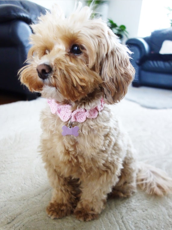 Crochet Hearts Collar PATTERN: DIY Pet Necklace/Dog Name Tag Holder (PDF Download)