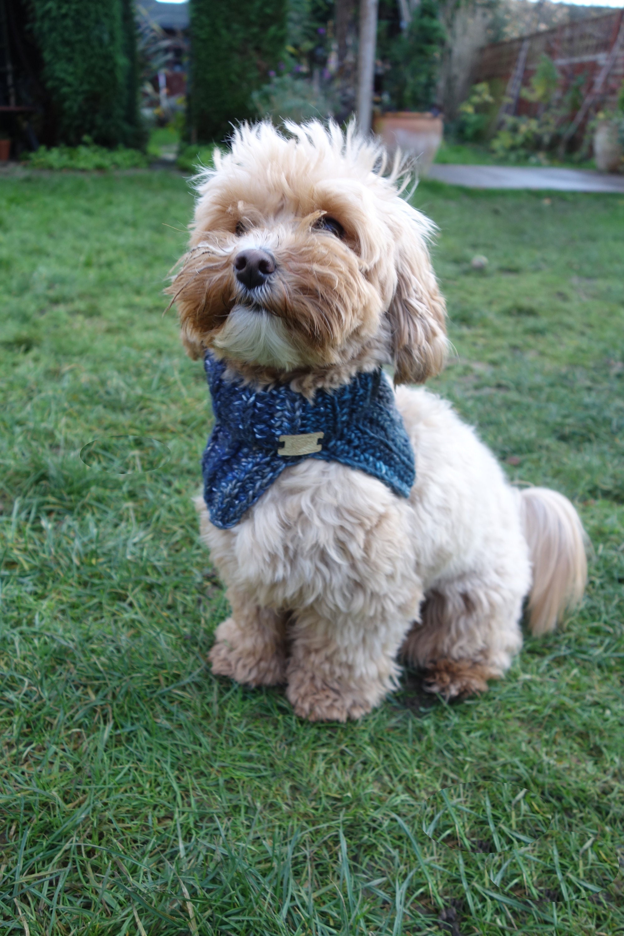 30 Dog Snood Crochet Patterns for Cozy, Cute, and Practical Pet Wear 31 Open-Side Dog Snood Crochet Pattern
