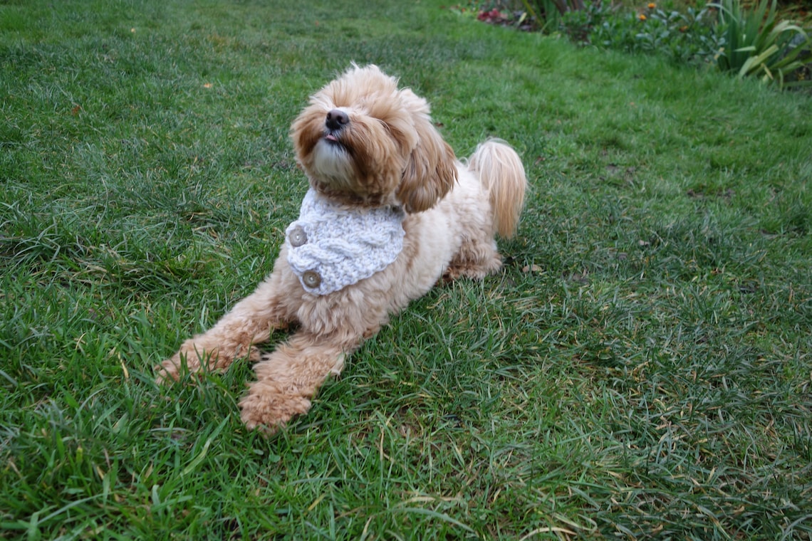 PDF Knitting PATTERN Cable Dog Cowl /snood/neckwarmer/chunky Etsy