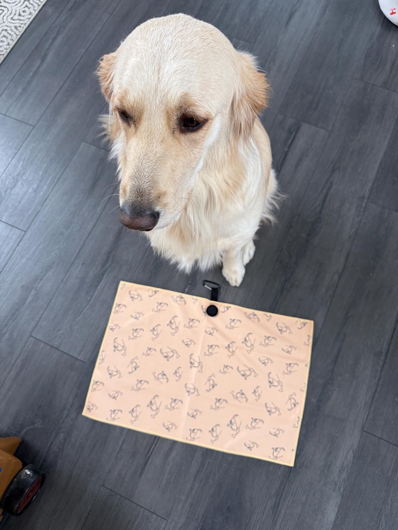 May include: A Golden Retriever sits near a peach-colored mat with a repeating pattern of dog silhouettes. The mat has a black handle and button closure. The dog has light-colored fur and is looking down.