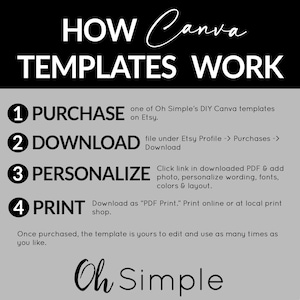 Funny Year in Review Christmas Card TEMPLATE, Holiday Card Newsletter Template Editable in Canva, Infographic Holiday Card image 4