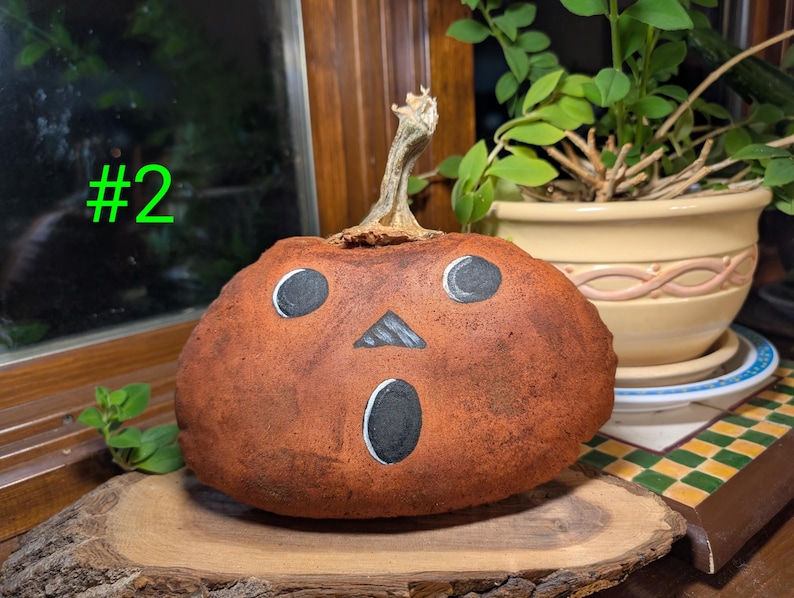 May include: A round, textured, orange-brown pumpkin with a dried stem and a hand-painted face featuring two circular eyes, a triangular nose, and an oval mouth. The pumpkin is marked with the green text #2 on the left side.