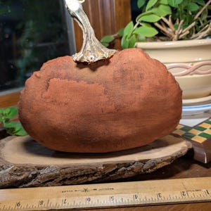 May include: A terracotta-coloured fabric pumpkin with a textured surface and a metallic silver stem, resting on a natural wood slice. A wooden ruler is positioned in the foreground, showing the pumpkin is approximately 15 cm wide.