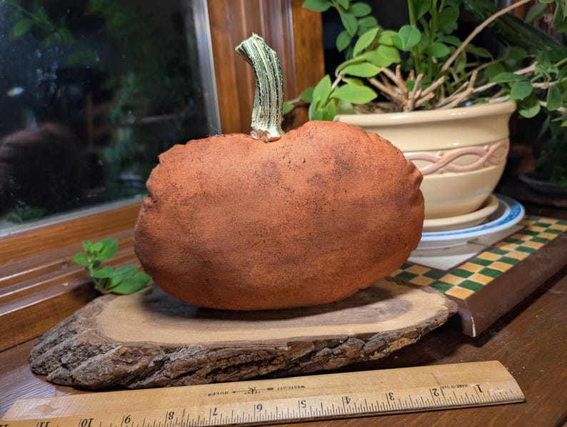 May include: A textured, rust-coloured fabric pumpkin with a light green stem, resting on a natural wood slice. A wooden ruler is placed in front, showing the pumpkin is approximately 15 cm wide at its base on the wood slice.