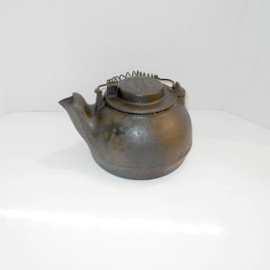 May include: A cast iron teapot with a spring-loaded lid. The teapot is dark grey and has a spout and handle.