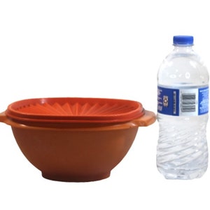 Orange Tupperware Bowl and Starburst Lid,4 Cup Tupperware Bowl Lid,838-1 839-16 Tupperware,Sealed Bowl and Lid,Orange Tupperware,Tupperware
