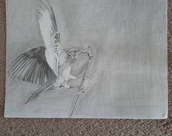 Petit oiseau original de dessin de crayon