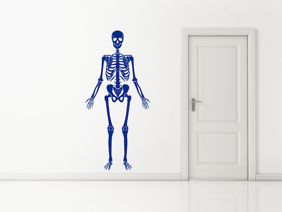 Medical Style skeleton, Human Bones, Can be posed in different positions Wall Sticker Decal Art. Any colour and a choice of sizes.(#162)