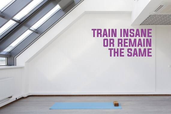 Train Insane or Remain the Same Motivational Gym Decal Sign Sticker for Windows, Walls and more. (#313)