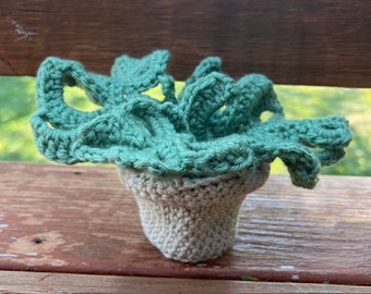 Crocheted Succulent Coasters